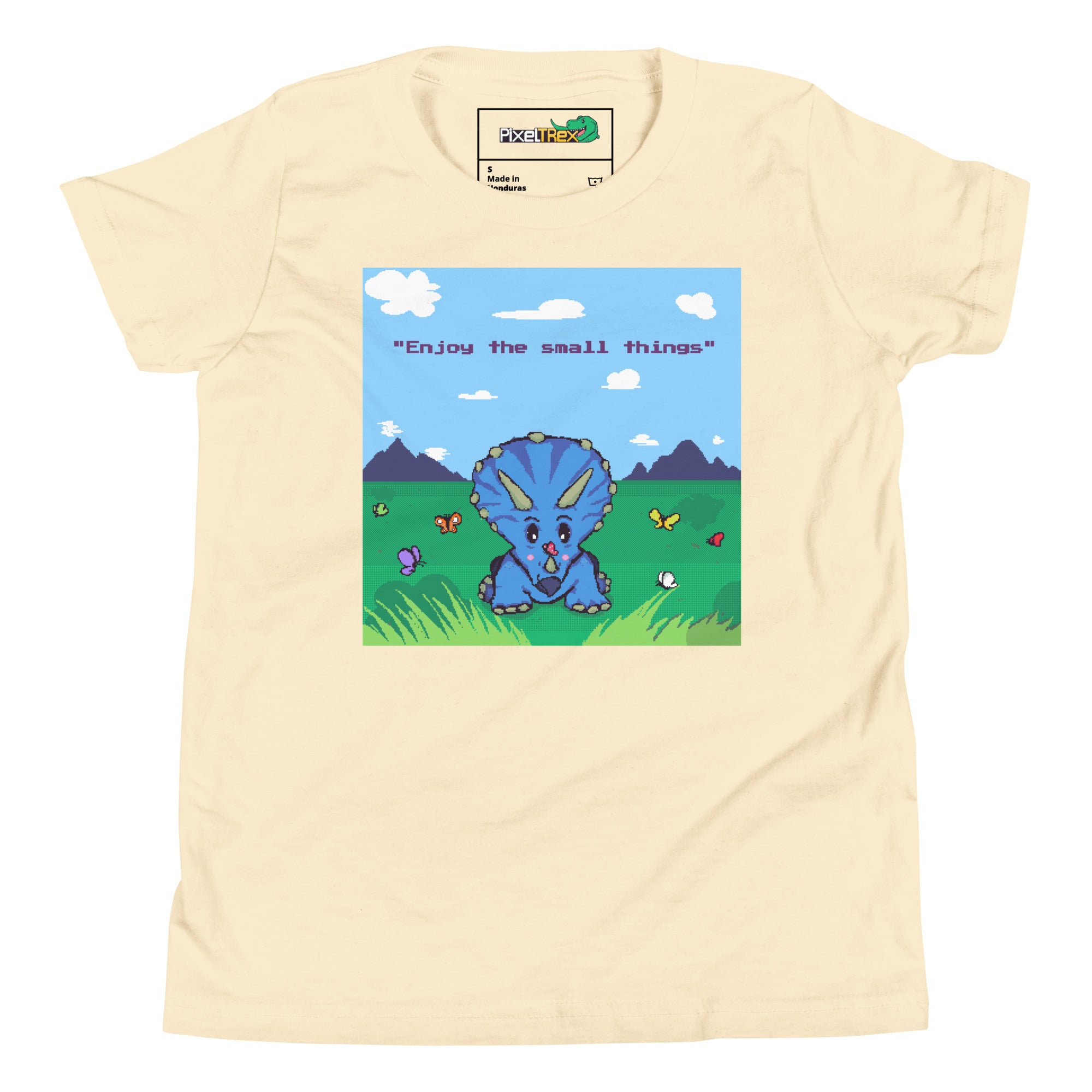 PixelTRex™ - Trike “Enjoy the Small Things” Youth T-Shirt