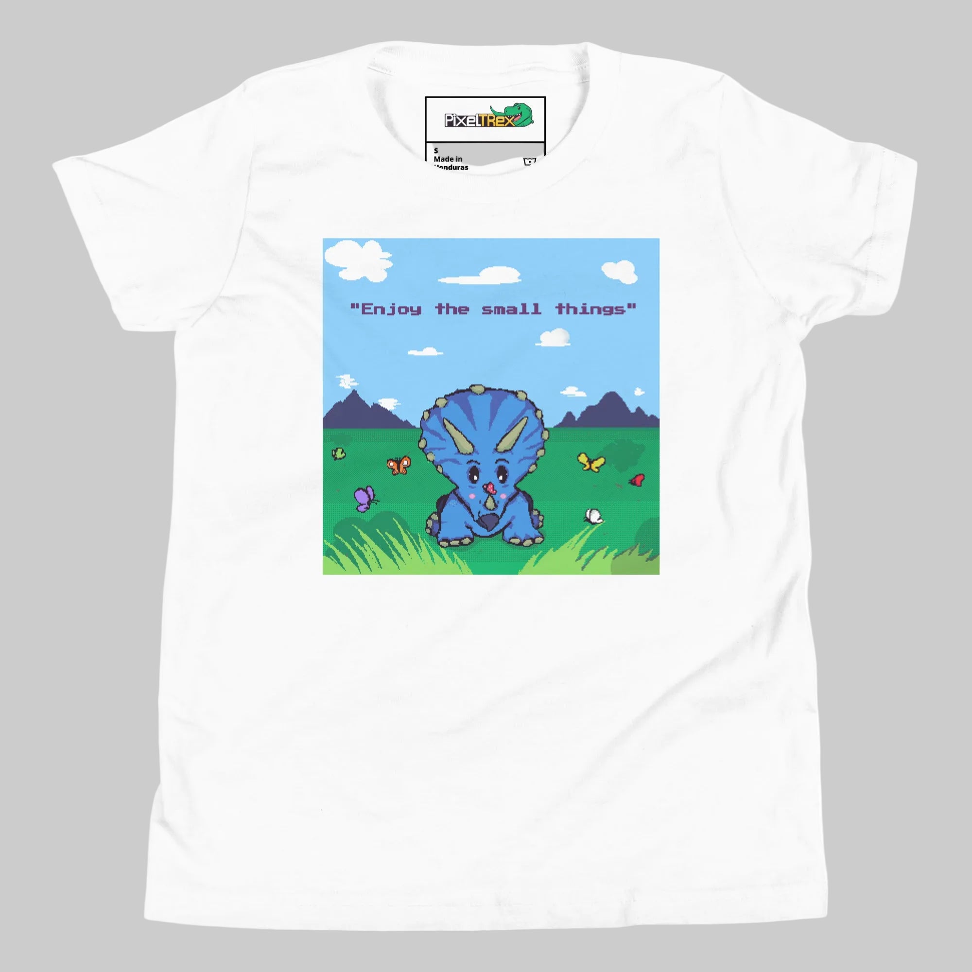PixelTRex™ - Trike “Enjoy the Small Things” Youth T-Shirt